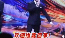 娱乐新闻,娱乐圈再掀波澜！