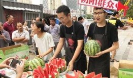 北京朝阳吃瓜群众网,吃瓜群众网带你领略京城美食风采